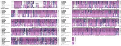 Developmental Expression Pattern of the Piwi1 Gene, Timing of Sex Differentiation and Maturation in Artificially Produced Juvenile Boring Giant Clam, Tridacna crocea